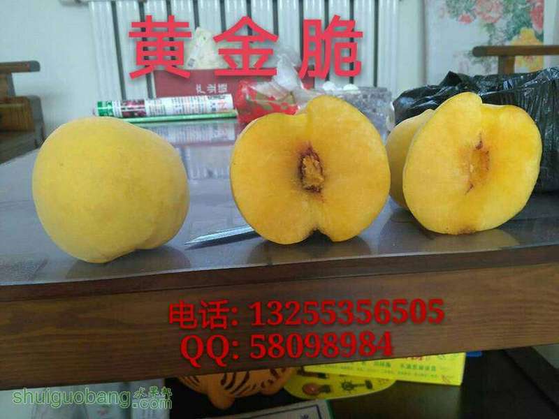 003312tdlxwn4nka0iwadk.jpg