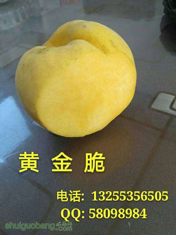 003313lll74sgy3b3ss0yc.jpg