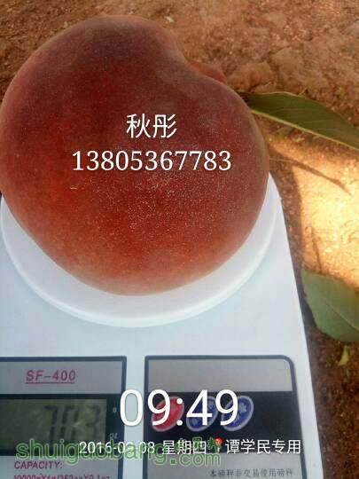 172706o752p5vc3qcofokq.jpg