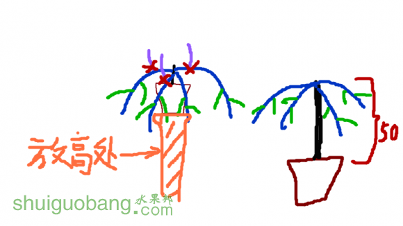 ޱ_.png