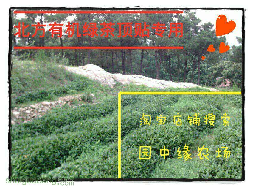 063824bgrh07khzh6hrz1h.jpg