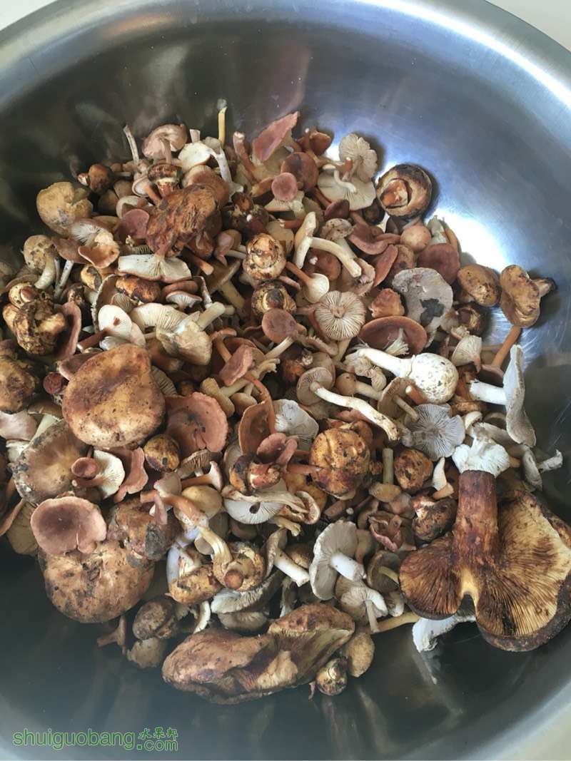122641sooochztdyuq4hi4.jpg