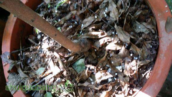 20160915_154155.jpg