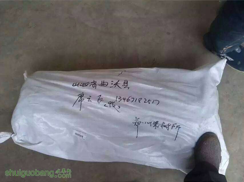 222024s1cd7oo6qv3ezyvi.jpg