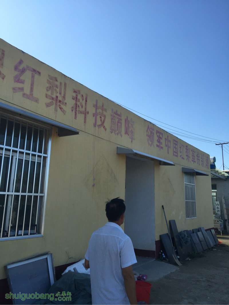 182455p9qq3jxw3rrjmqu1.jpg