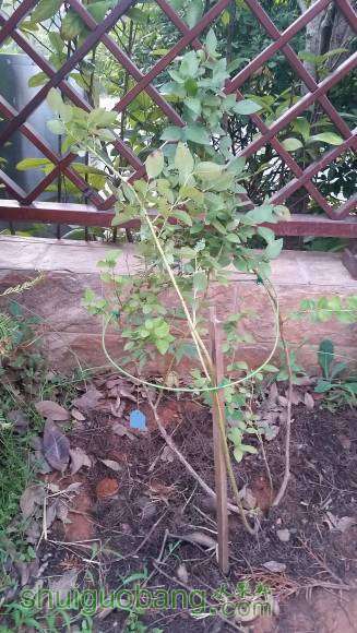 20160829_061001.jpg