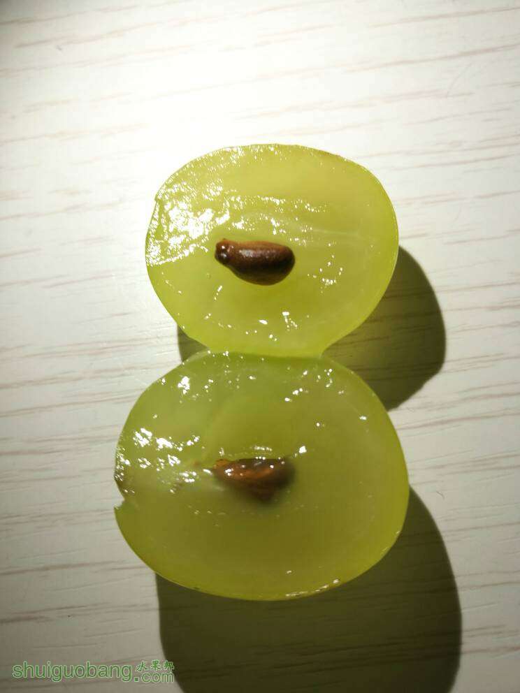 222529nklgp4f1hiyfrdrd.jpg