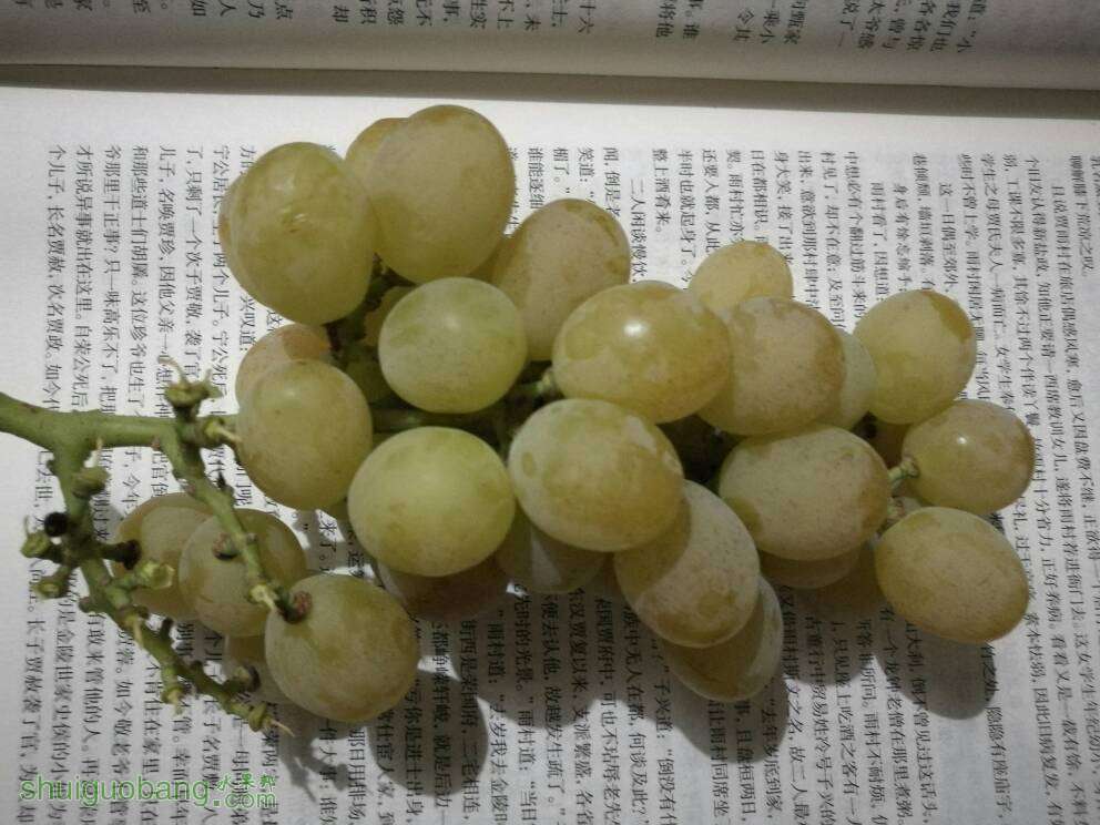 222529yirzgcnhihhl3dzn.jpg