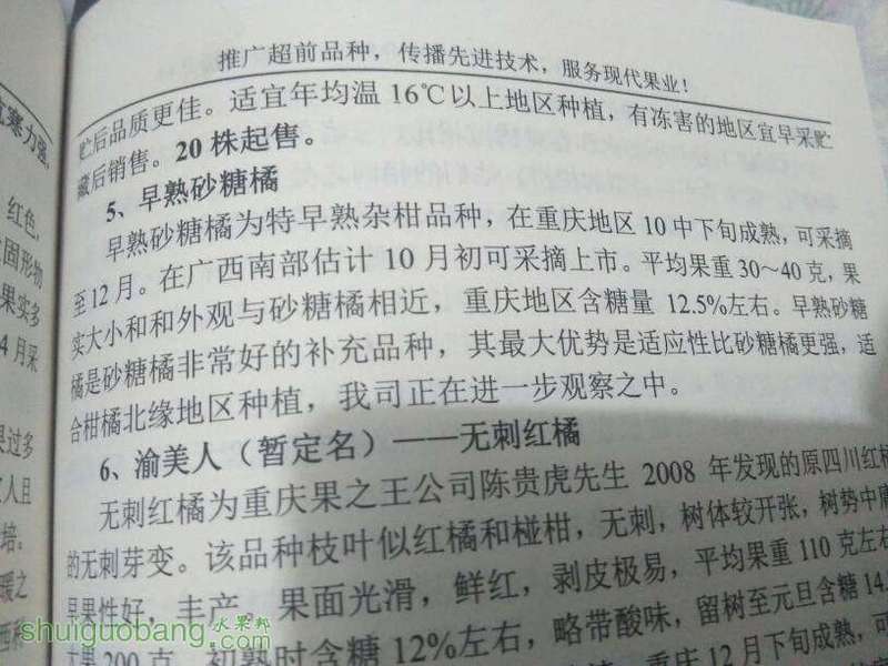103827q7164yek767j7je1.jpg