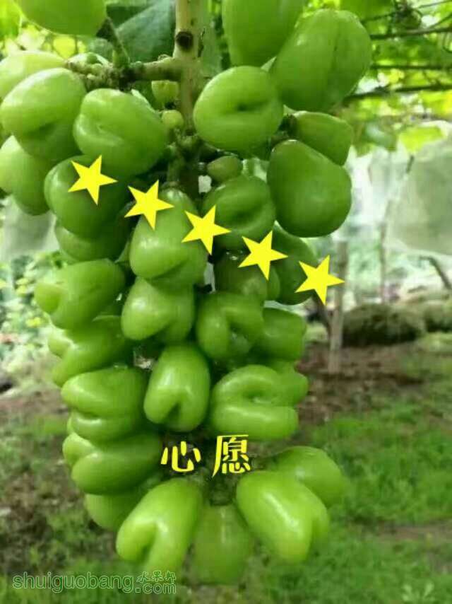 110455yzokiu08uoiohuo1.jpg