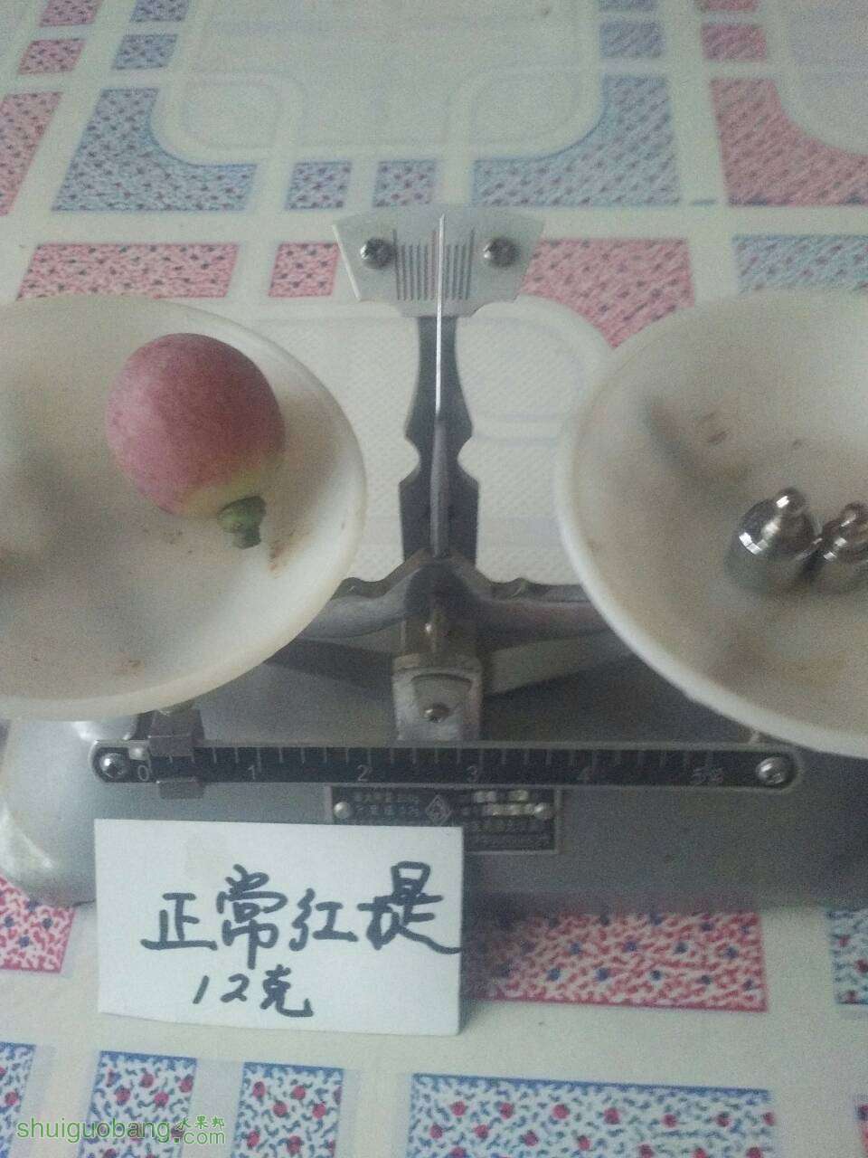 210140rmcgbce3y3o3gcbz.jpg
