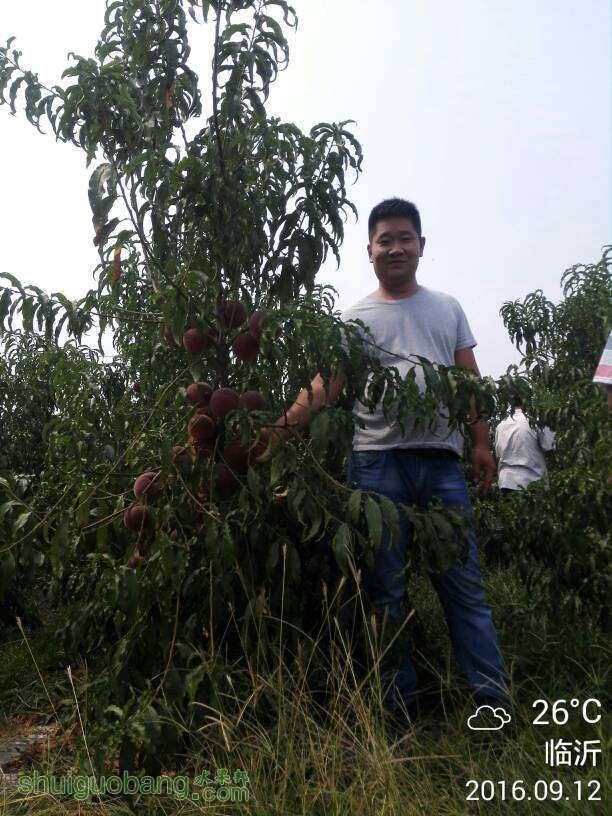 140239ez6anp0ndd6a1zv9.jpg