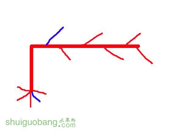 δ-1.jpg