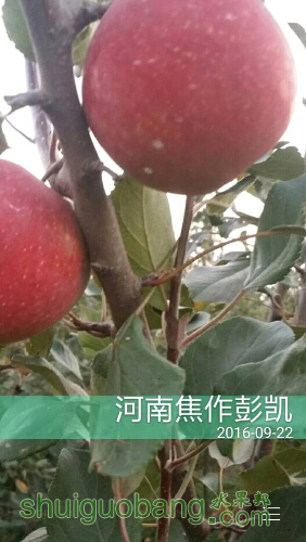 *O_20160922_190423.png