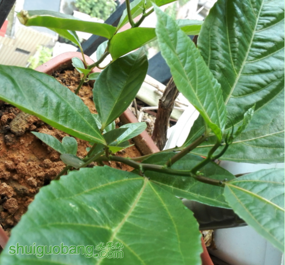 �е������������