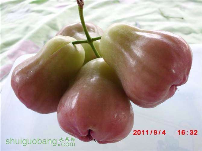 163852g3eerfz1uuyuryyx.jpg