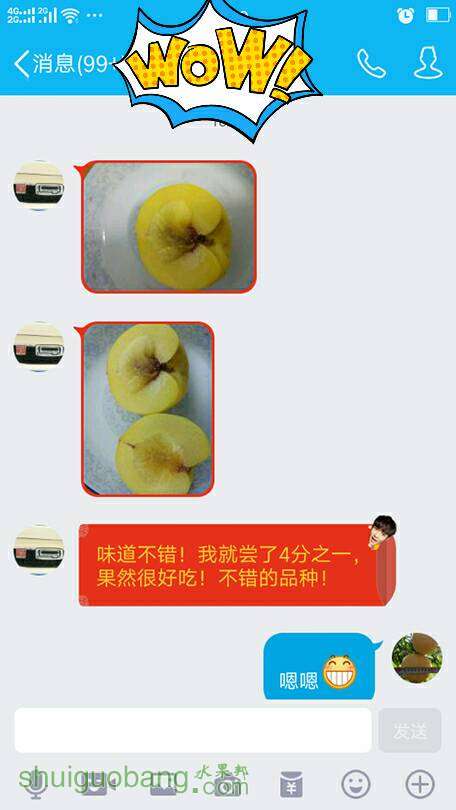 204027l2d94b614uc6nnme.jpg
