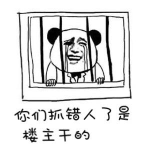 234733xty61yncyep6ywt1.jpg