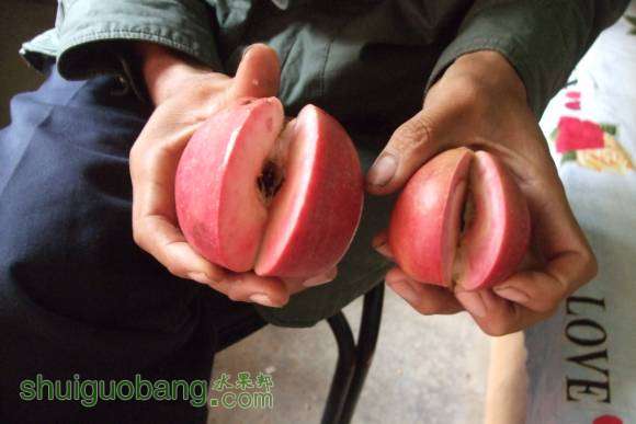 Ԫ 017.jpg