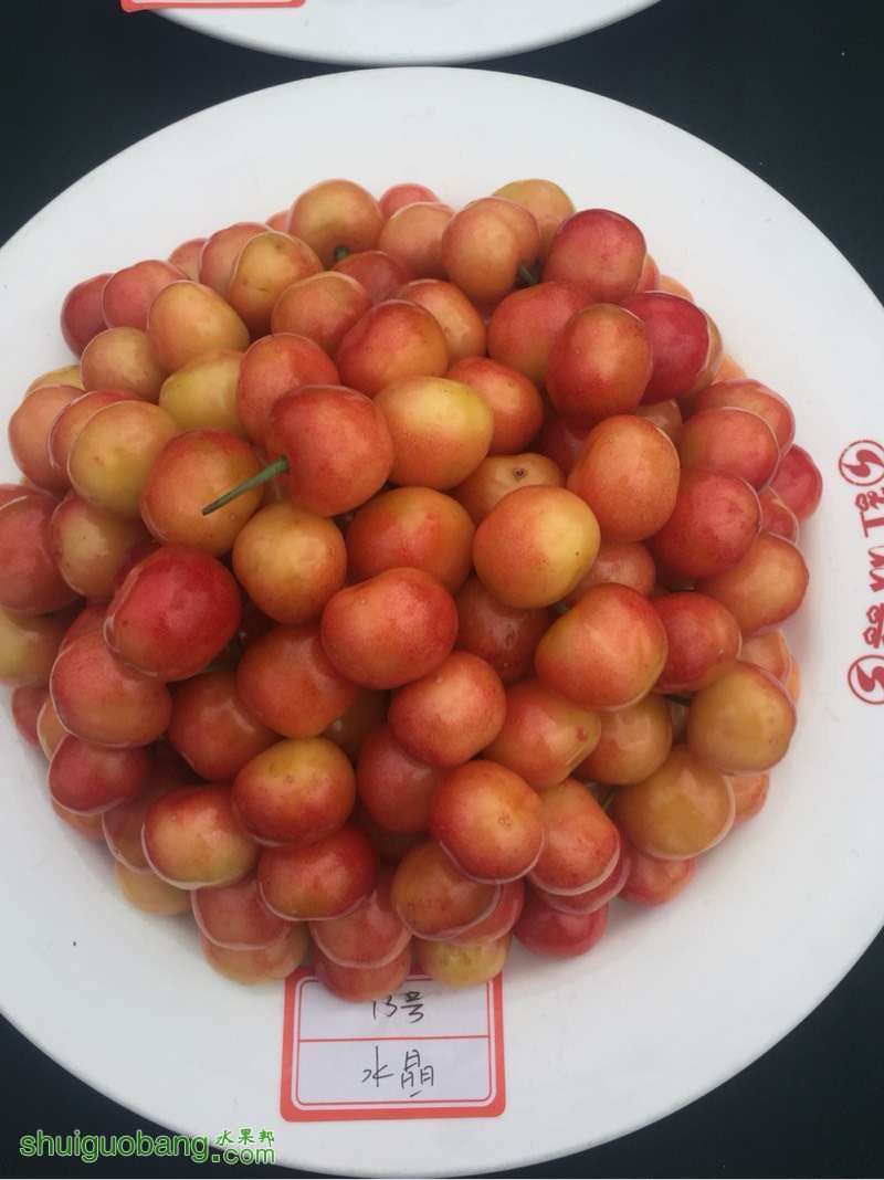 205350b88ja5y6ujayg15j.jpg