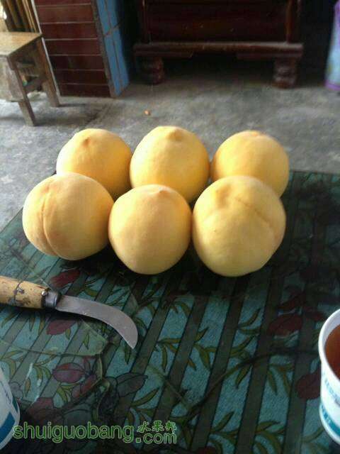072304t7llo8f7loy7vqun.jpg