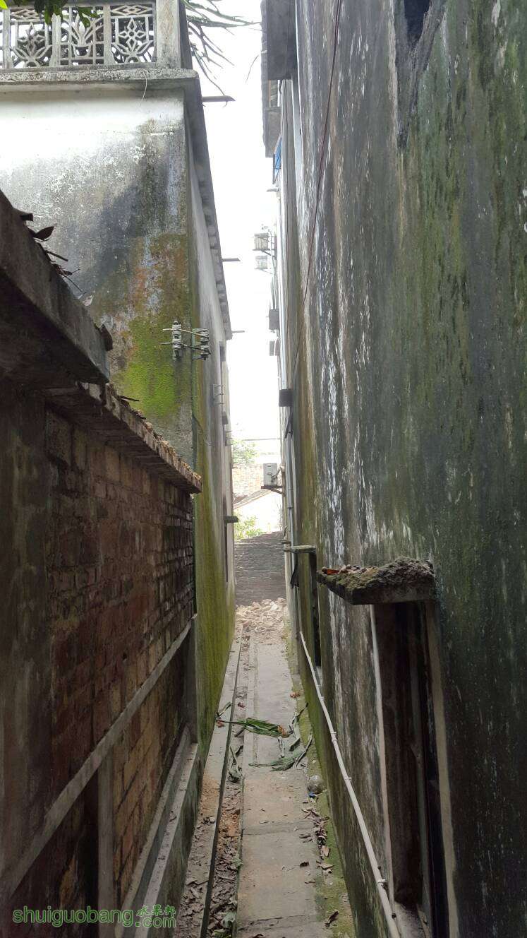 102055rzt8swka4mi2iiha.jpg