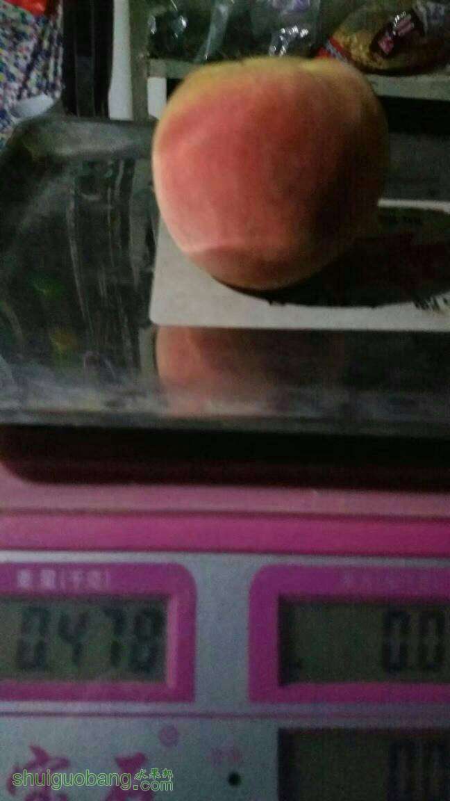 135215z3vyfv0vbvy5o3hb.jpg