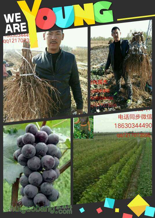 152823cjtcc2geptctqns2.jpg