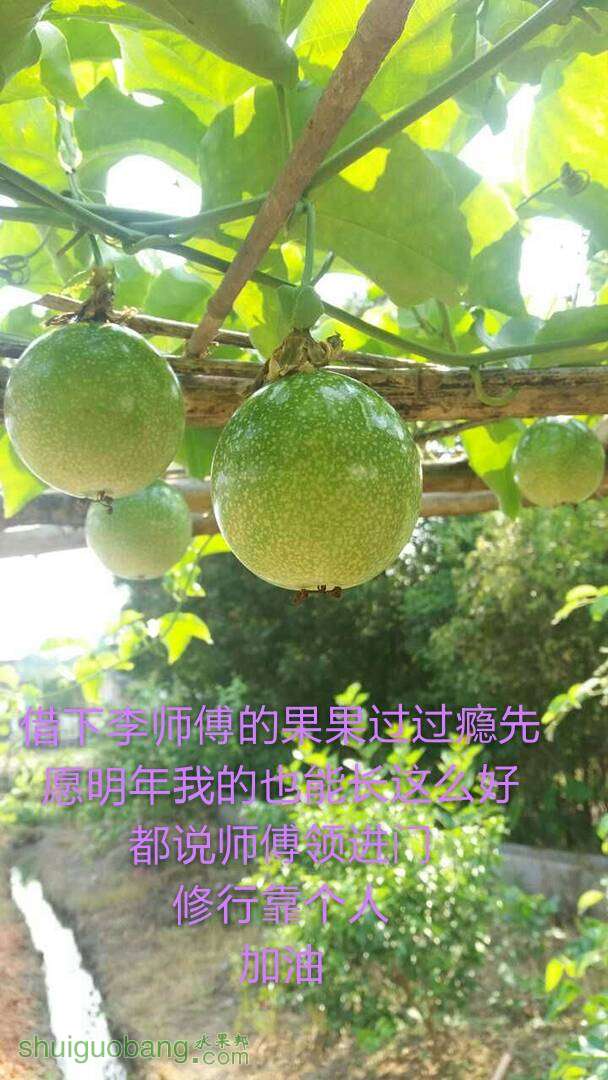 003648qjihipkkjt13ppz6.jpg