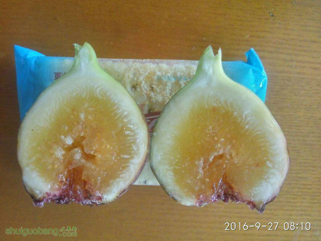 081936znaxoxsrexefxx8e.jpg