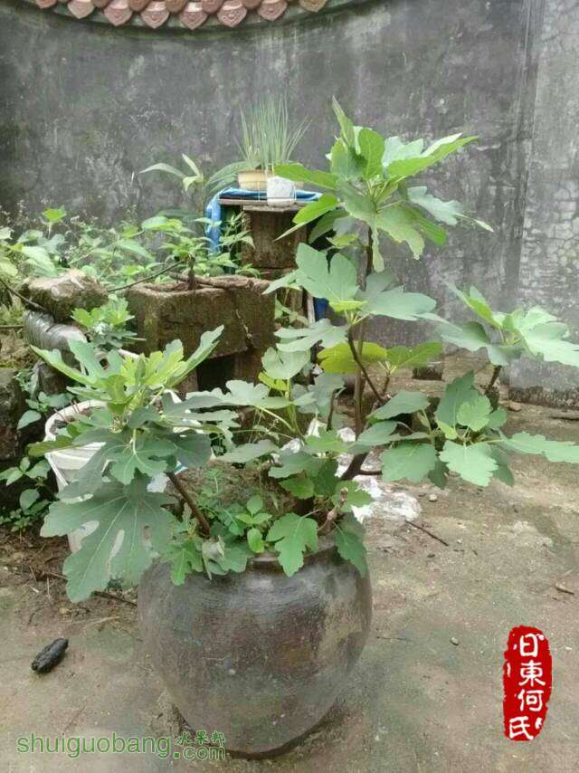 085929d9rkr71yrzzrxw01.jpg
