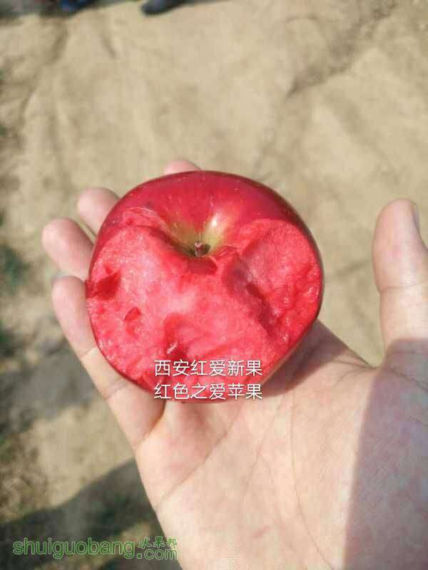 212043g571sj76ogoo7uoo.jpg