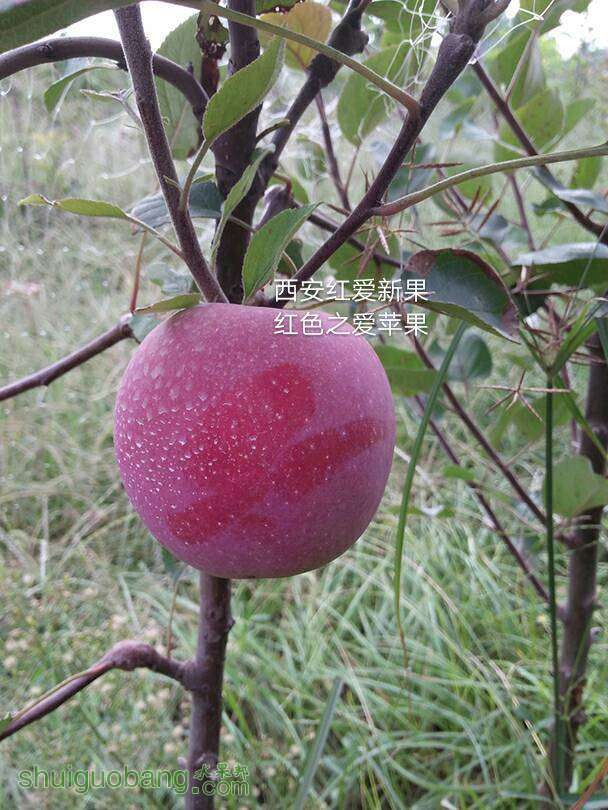 212043zue1cobcdzeb1hkt.jpg