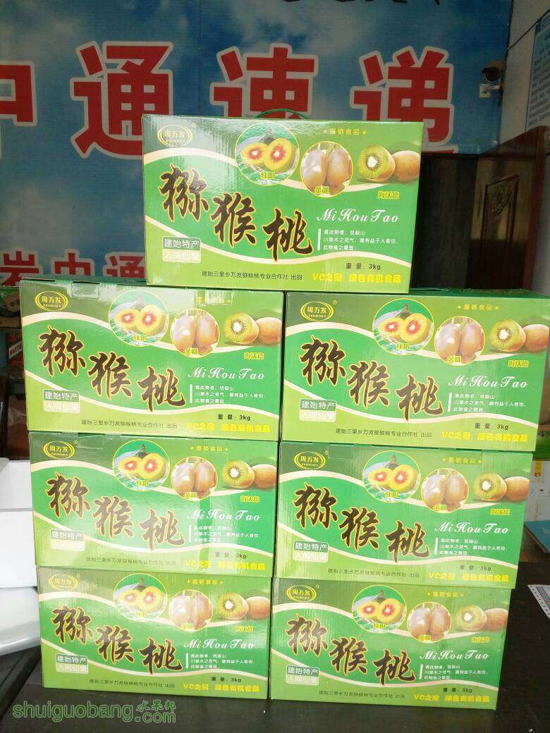 135020swkw17b9bcatcftb.jpg