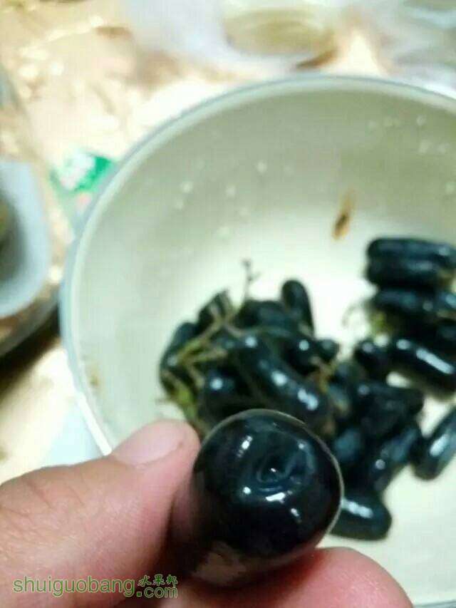 153130h1jdwnj663knkp63.jpeg