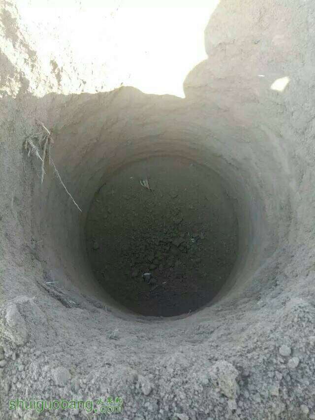 153224geh20whk3zzbztxo.jpeg