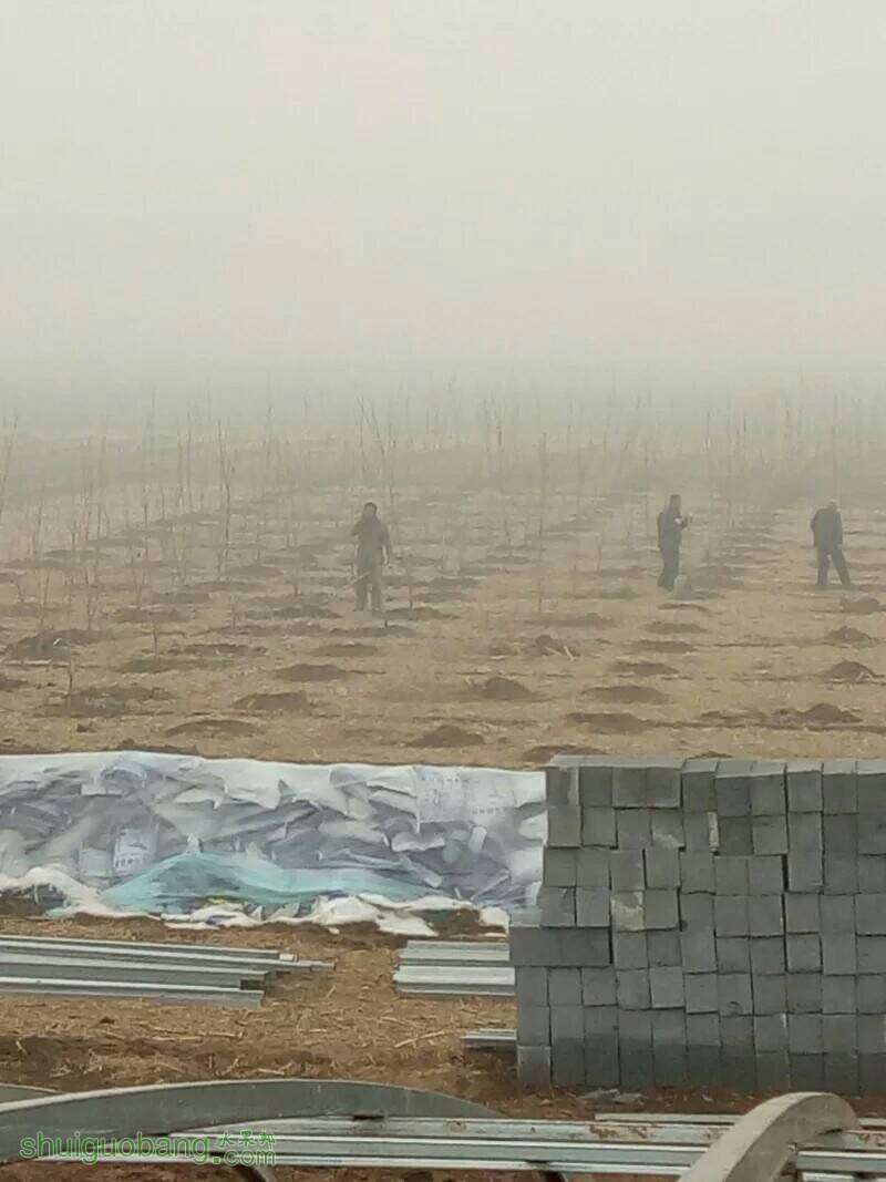 153538m0u2u1ziv9p0q1zv.jpeg