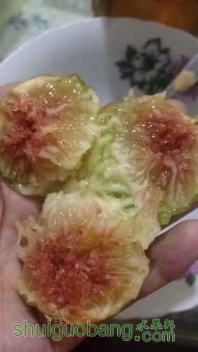 image.jpg