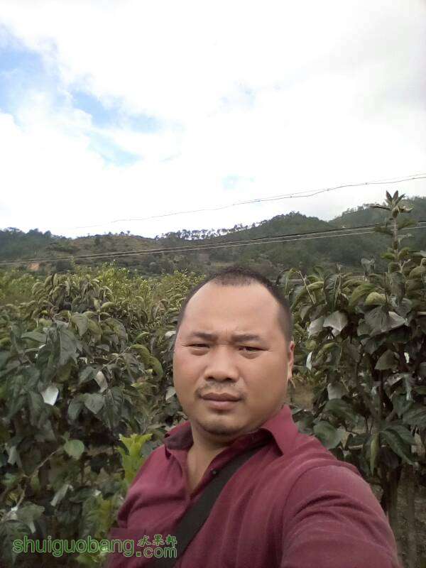 110244j74i7mjp00njlmxn.jpg