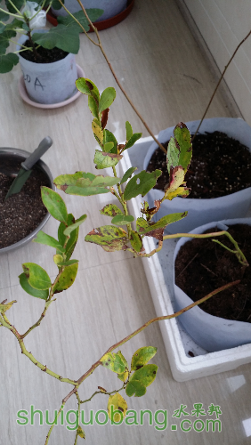 20160929_121958.jpg