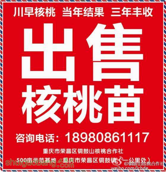 QQͼƬ20160923213438.jpg