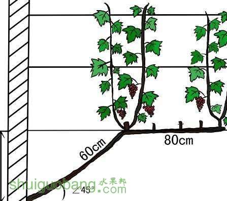 C__Data_Users_DefApps_AppData_INTERNETEXPLORER_Temp_Saved Images_2847400864421837563.jpg