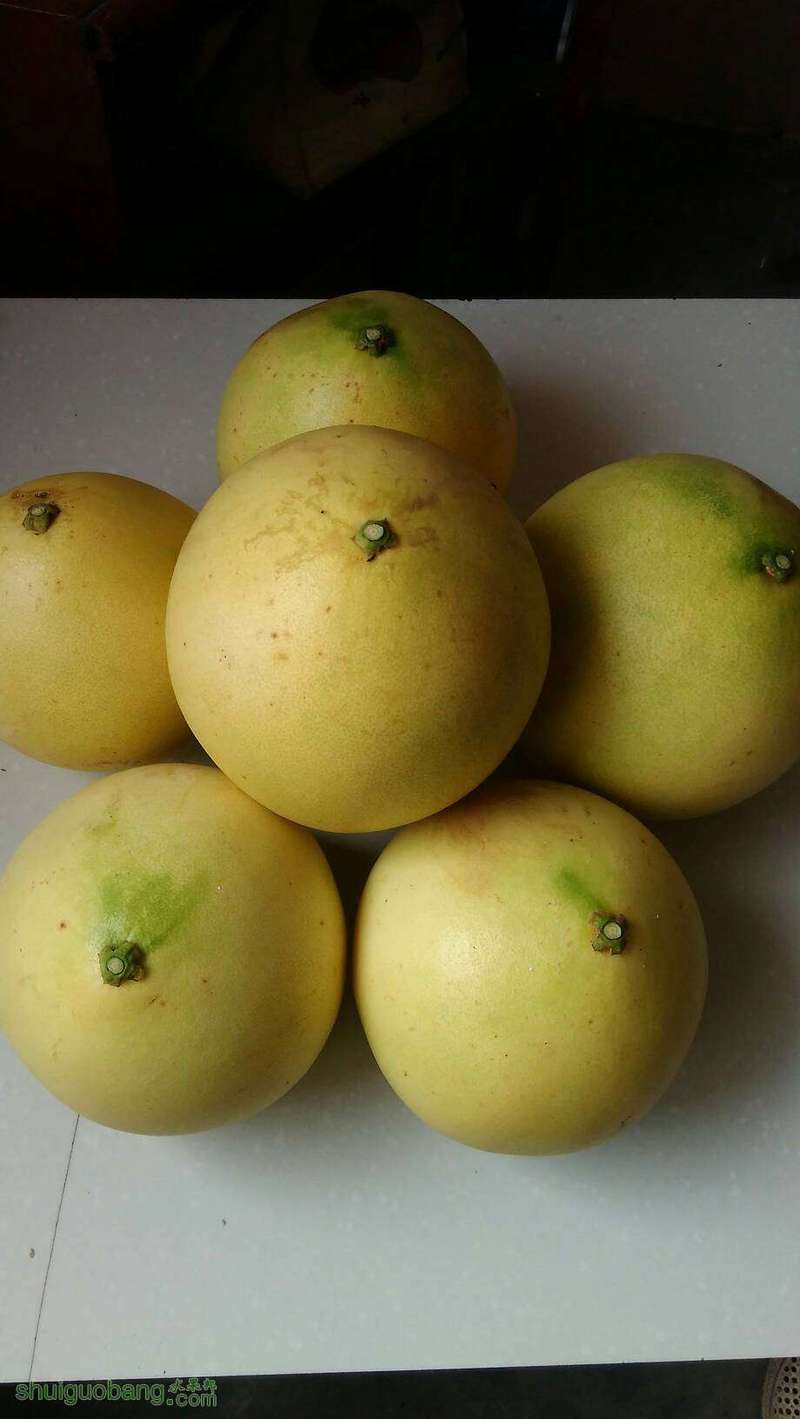 113339uaqzwhvhdkfhveun.jpg