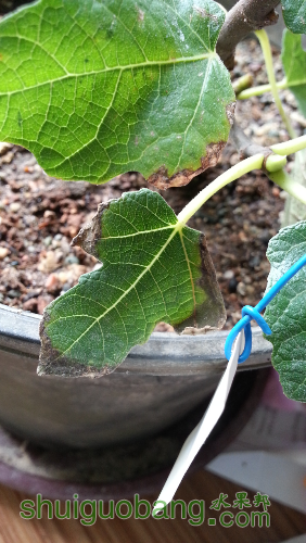 20161003_145645.jpg