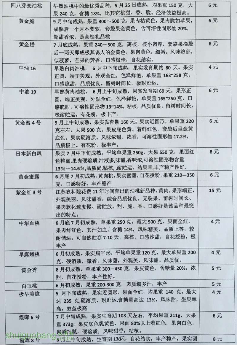 213317r22686taguu2t2g6.jpg
