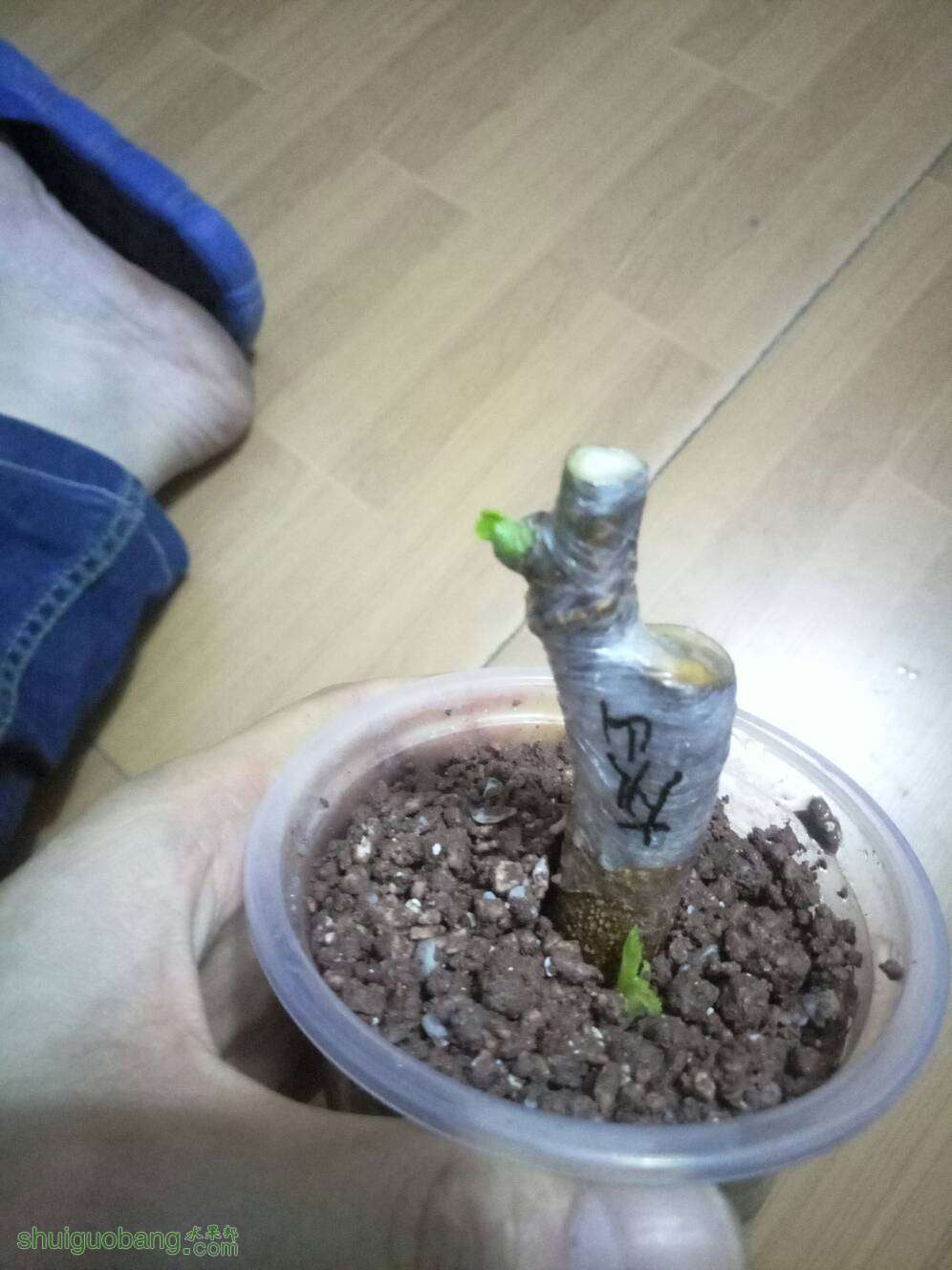081304atk360tydiopg3gz.jpg