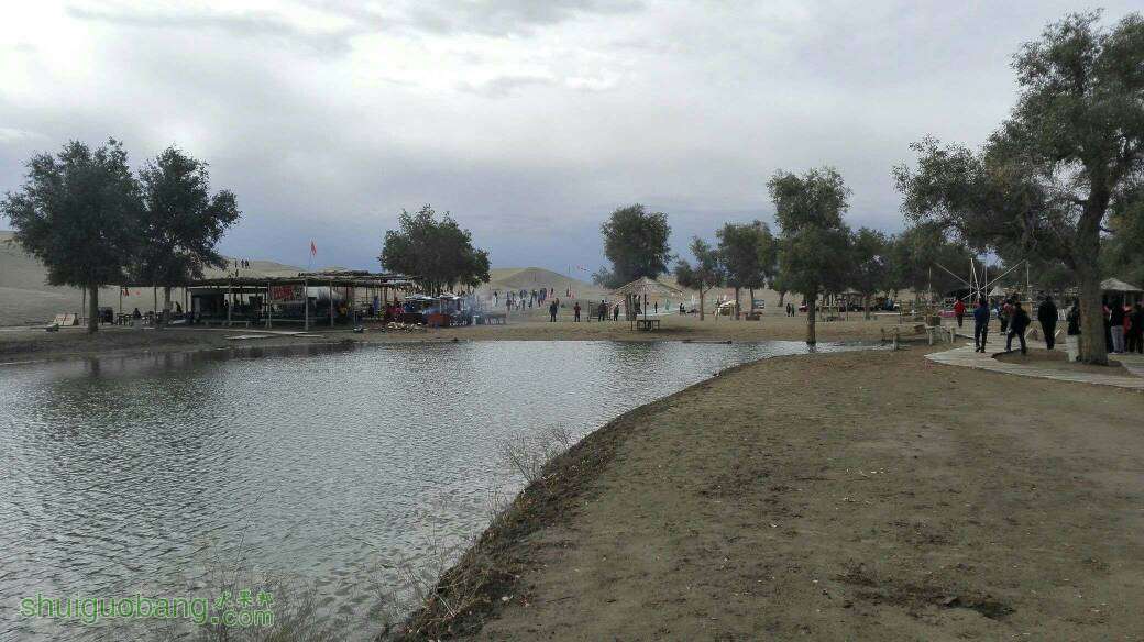 110656dv96shsavyi79ytn.jpg