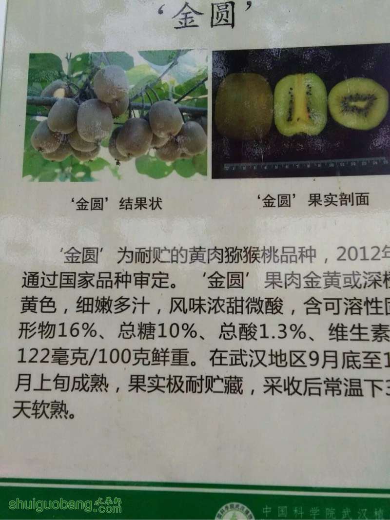 124114kitlgg5o2u05g0um.jpg