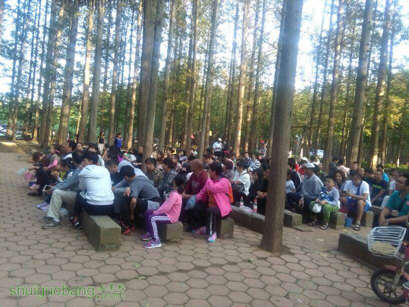 182048hv2hep2eeenneooe.jpg
