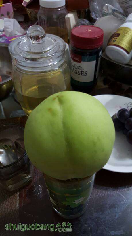 065131rkumtdnbrzl4tc5t.jpg